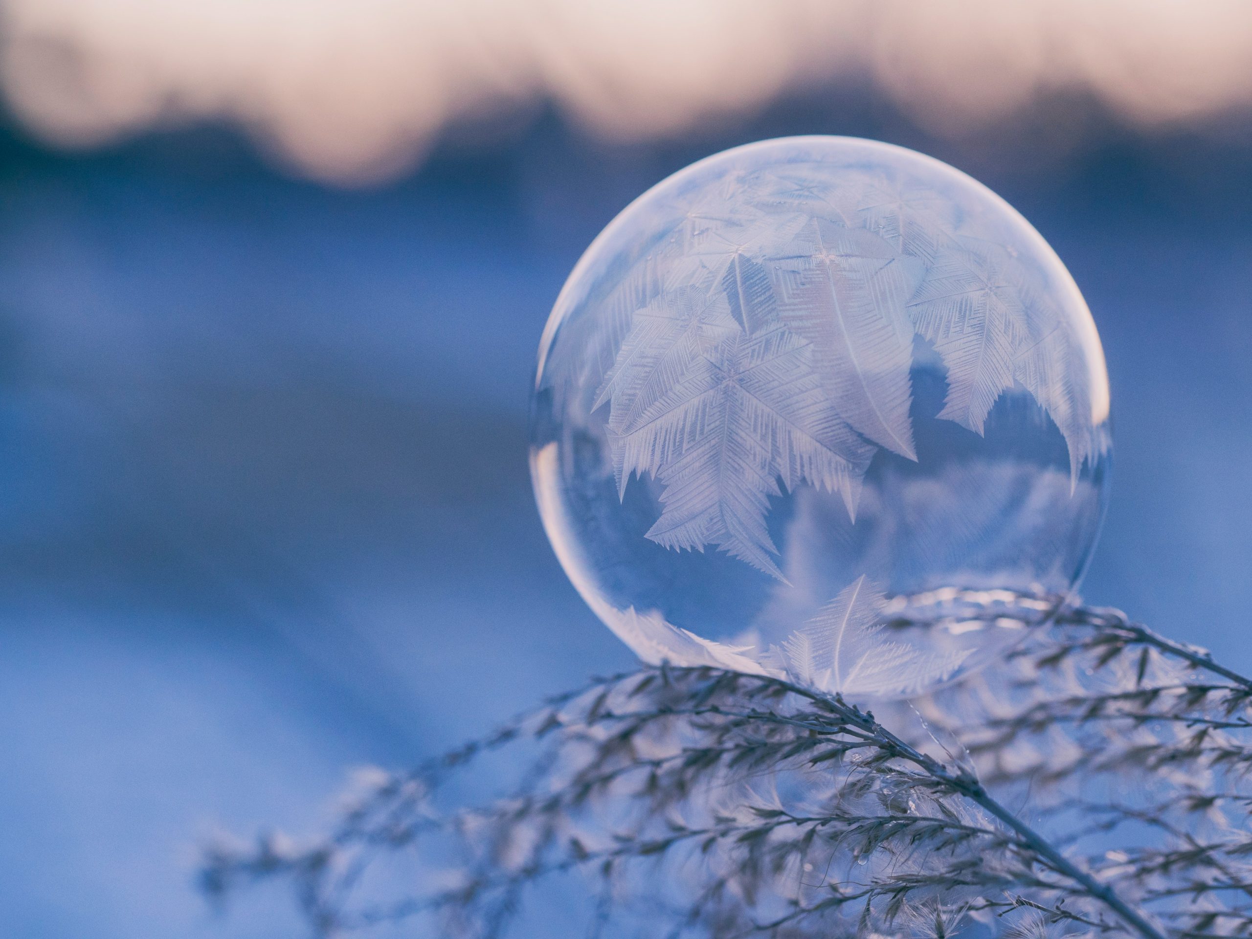 Weerkundige winter goed voor helft aardgasverbruik