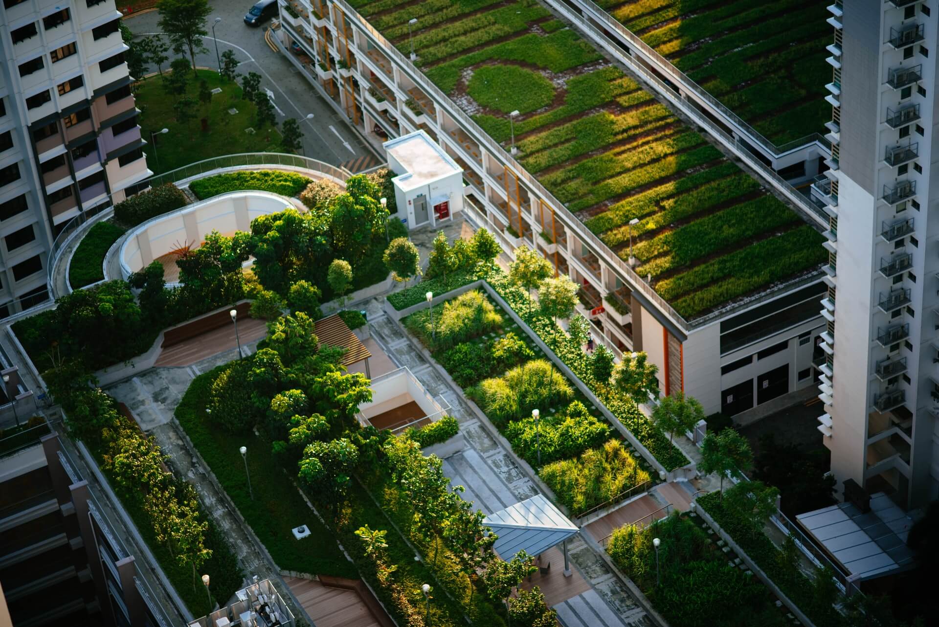 Meer rendement uit jouw zonnepanelen? Plaats dan groen op je dak